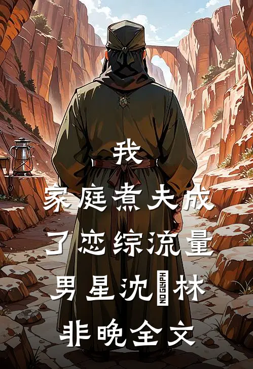 我，家庭煮夫成了恋综流量男星沈彧林非晚全文