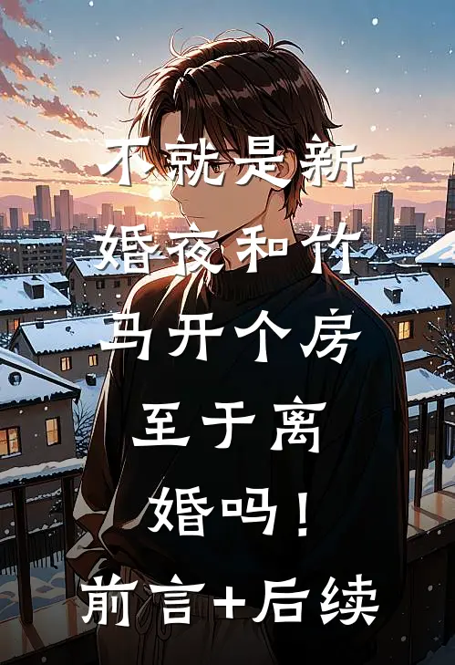 不就是新婚夜和竹马开个房，至于离婚吗！前言+后续