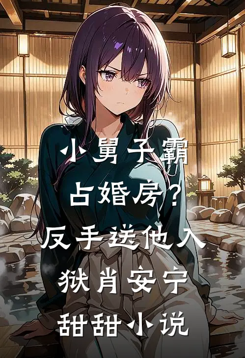 小舅子霸占婚房？反手送他入狱肖安宁甜甜小说