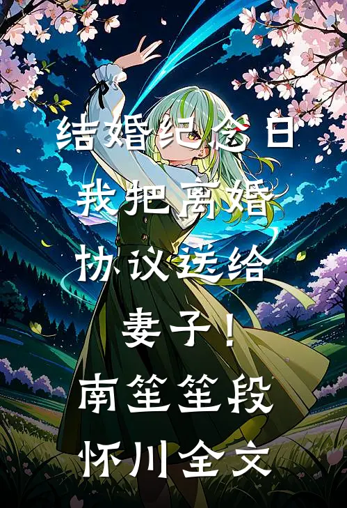 结婚纪念日，我把离婚协议送给妻子！南笙笙段怀川全文
