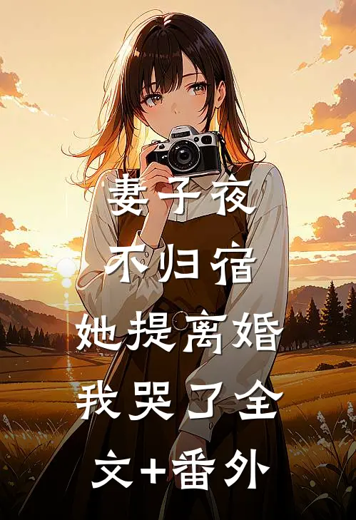 妻子夜不归宿，她提离婚我哭了全文+番外