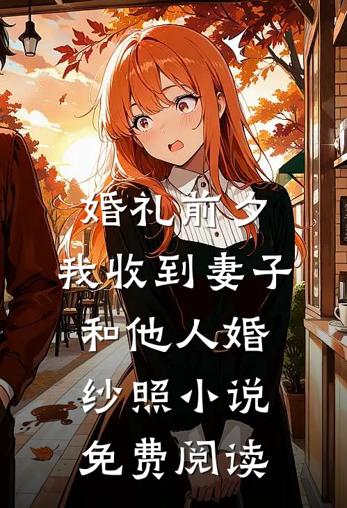 婚礼前夕，我收到妻子和他人婚纱照小说免费阅读