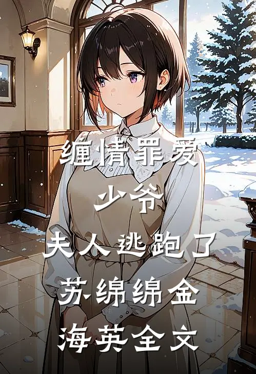 缠情罪爱：少爷，夫人逃跑了苏绵绵金海英全文
