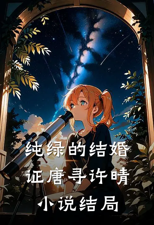 纯绿的结婚证唐寻许晴小说结局