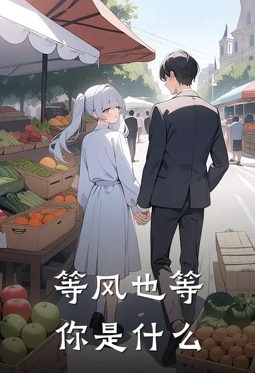等风也等你是什么