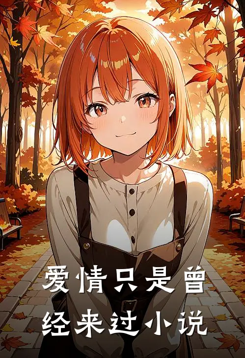 爱情只是曾经来过小说