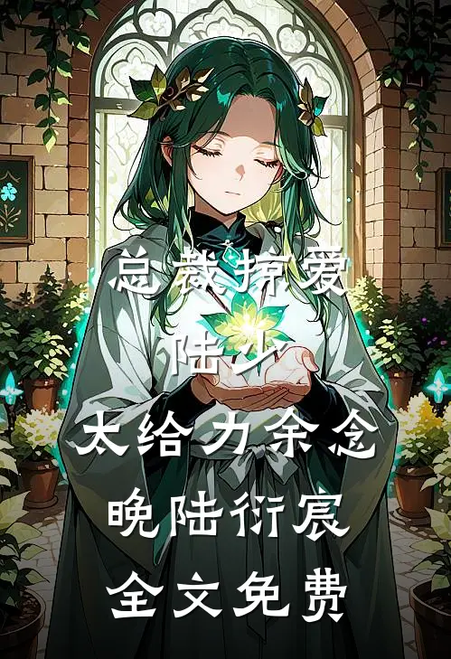 总裁掠爱：陆少，太给力余念晚陆衍宸全文免费