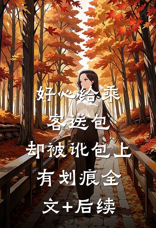 好心给乘客送包，却被讹包上有划痕全文+后续