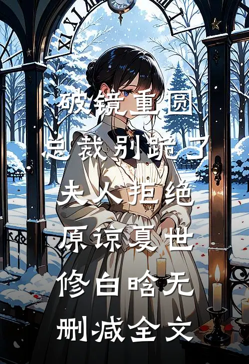破镜重圆：总裁别跪了，夫人拒绝原谅夏世修白晗无删减全文