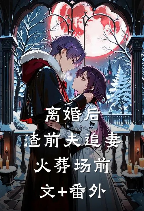 离婚后，渣前夫追妻火葬场前文+番外