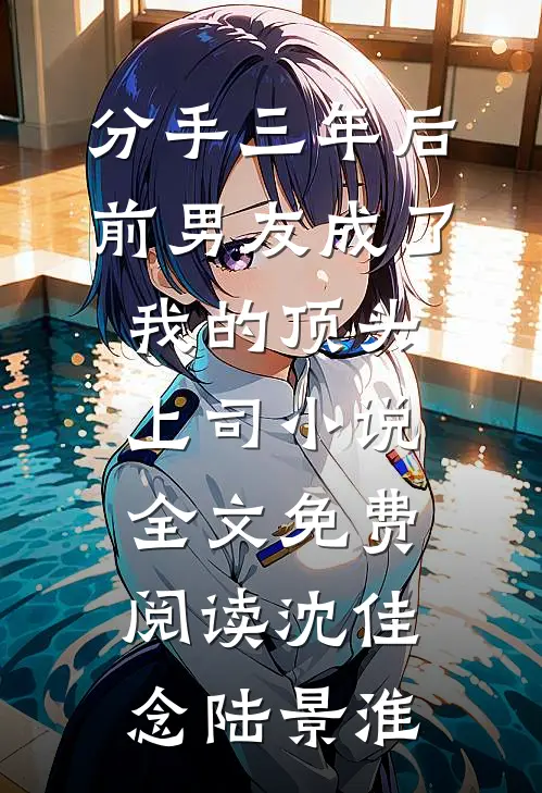 分手三年后，前男友成了我的顶头上司小说全文免费阅读沈佳念陆景淮