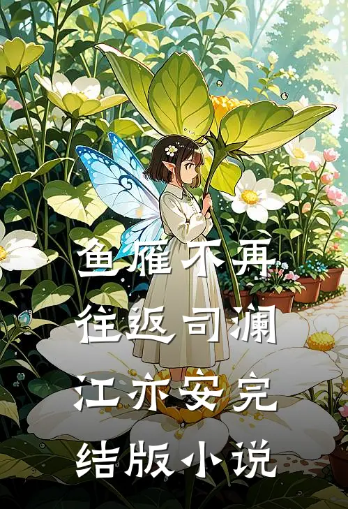 鱼雁不再往返司澜江亦安完结版小说