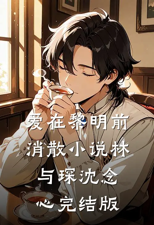 爱在黎明前消散小说林与琛沈念心完结版