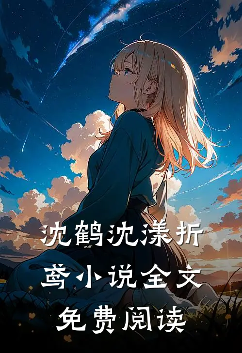 沈鹤沈漾折鸢小说全文免费阅读