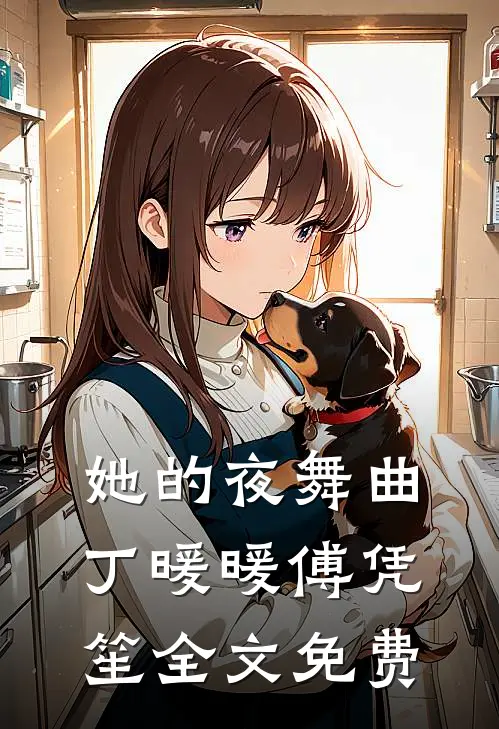 她的夜舞曲丁暖暖傅凭笙全文免费