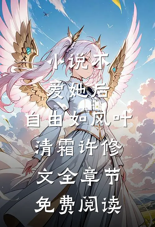 小说不爱她后，自由如风叶清霜许修文全章节免费阅读