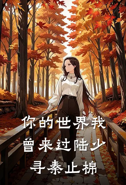 你的世界我曾来过陆少寻秦止棉