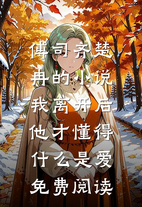傅司齐楚冉的小说我离开后，他才懂得什么是爱免费阅读