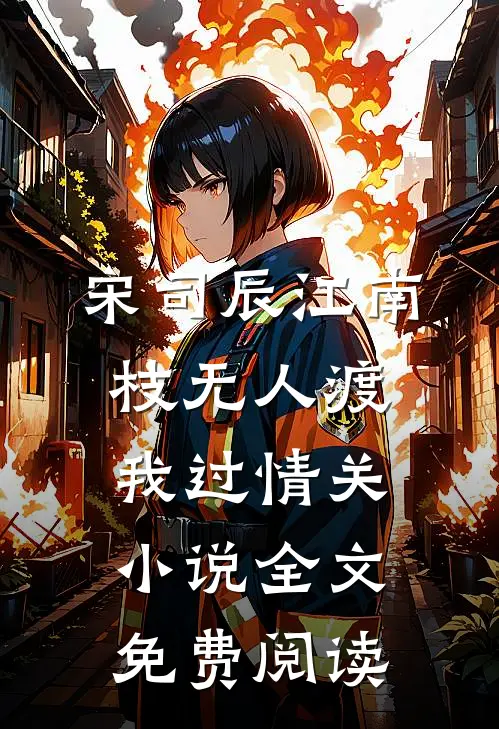宋司辰江南枝无人渡我过情关小说全文免费阅读