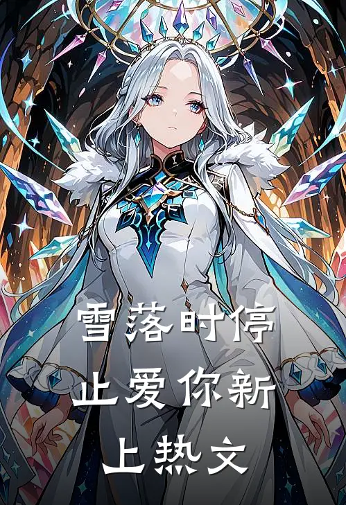雪落时停止爱你新上热文