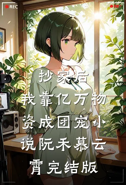 抄家后，我靠亿万物资成团宠小说阮禾慕云霄完结版