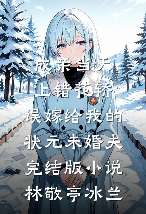 成亲当天上错花轿，误嫁给我的状元未婚夫完结版小说林敬亭冰兰