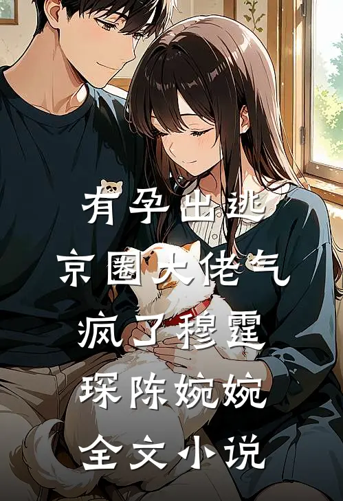 有孕出逃，京圈大佬气疯了穆霆琛陈婉婉全文小说
