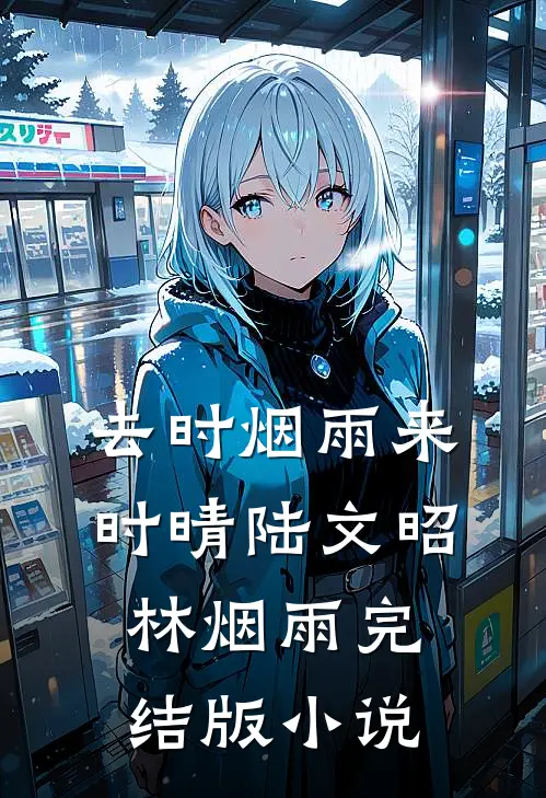 去时烟雨来时晴陆文昭林烟雨完结版小说