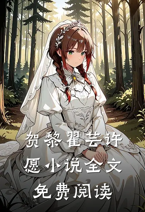 贺黎翟芸许愿小说全文免费阅读