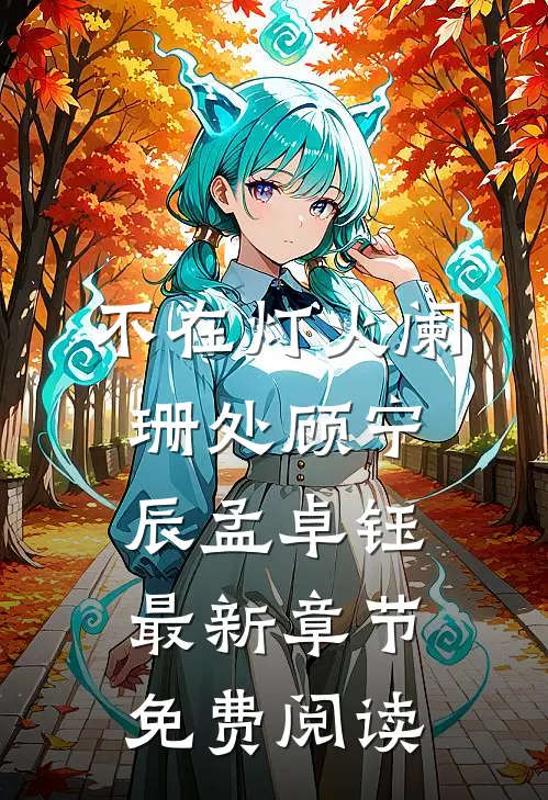 不在灯火阑珊处顾宁辰孟卓钰最新章节免费阅读