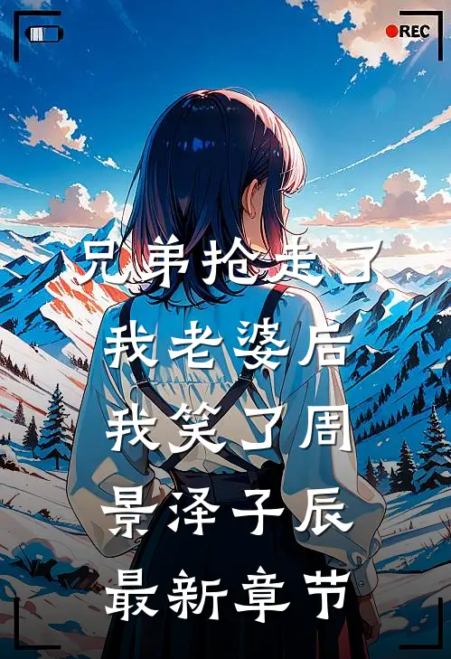兄弟抢走了我老婆后，我笑了周景泽子辰最新章节