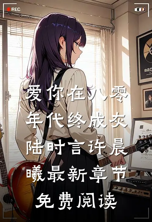 爱你在八零年代终成灰陆时言许晨曦最新章节免费阅读