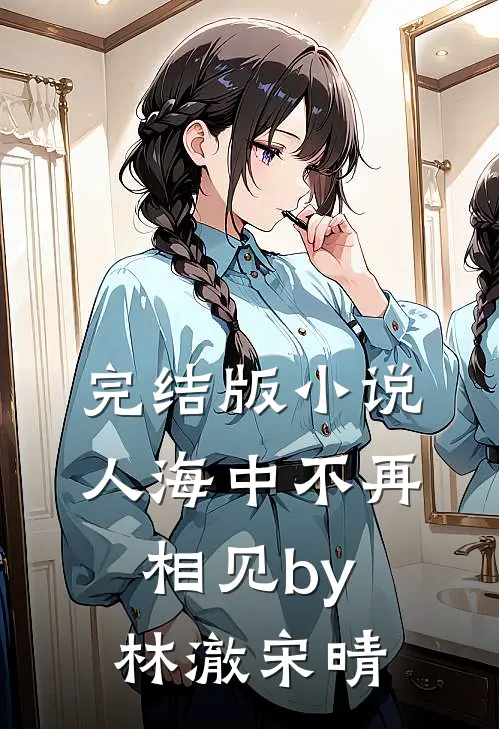 完结版小说人海中不再相见by林澈宋晴
