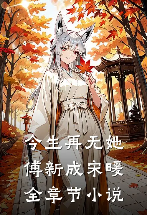 今生再无她傅新成宋暖全章节小说