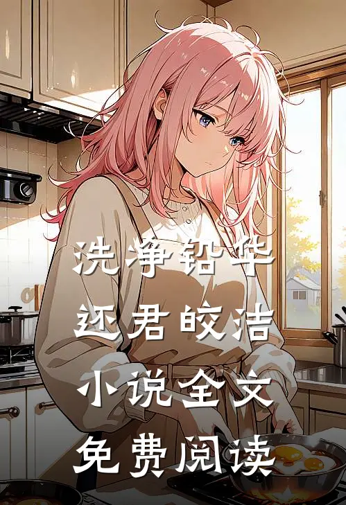 洗净铅华，还君皎洁小说全文免费阅读