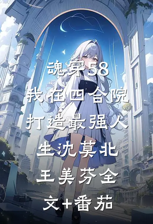 魂穿58：我在四合院打造最强人生沈莫北王美芬全文+番茄