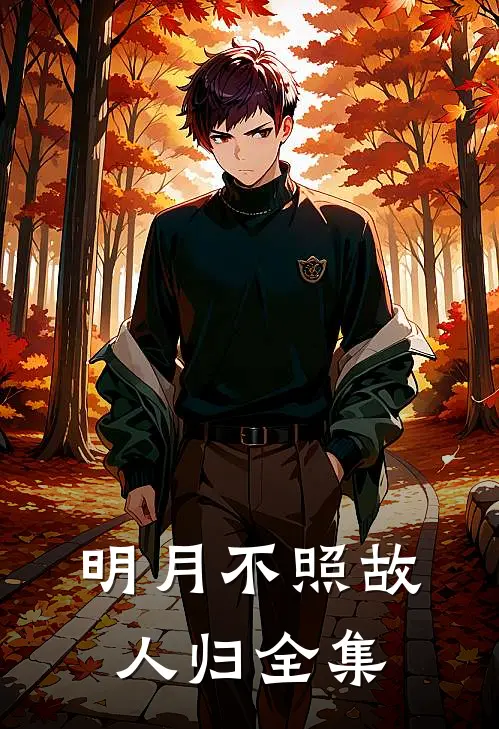 明月不照故人归全集