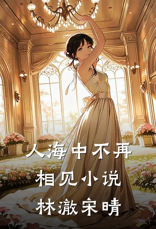 人海中不再相见小说林澈宋晴