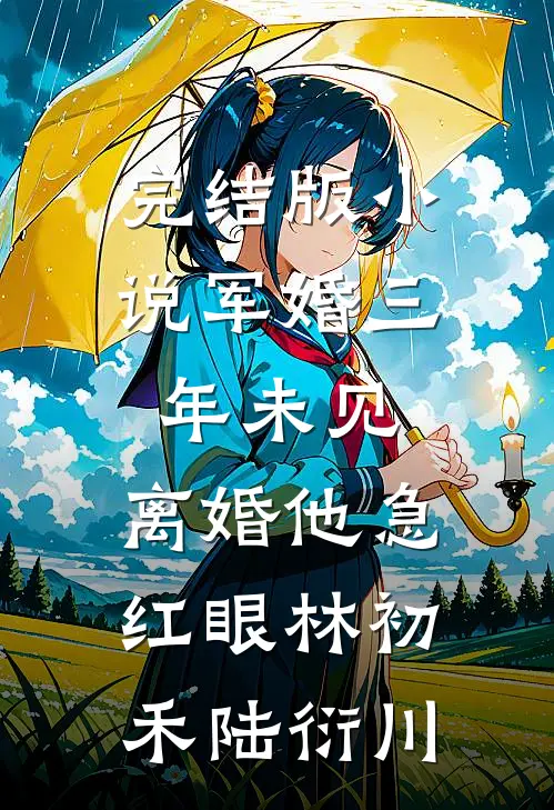 完结版小说军婚三年未见，离婚他急红眼林初禾陆衍川