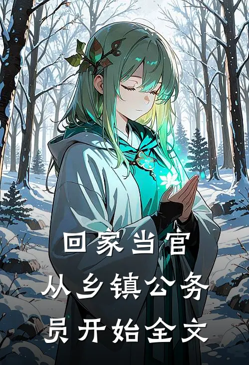 回家当官：从乡镇公务员开始全文