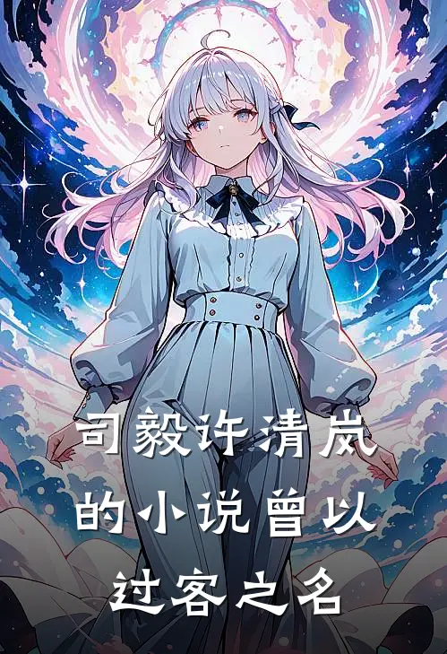 司毅许清岚的小说曾以过客之名