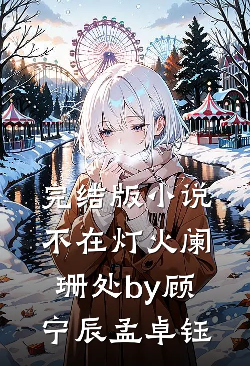 完结版小说不在灯火阑珊处by顾宁辰孟卓钰