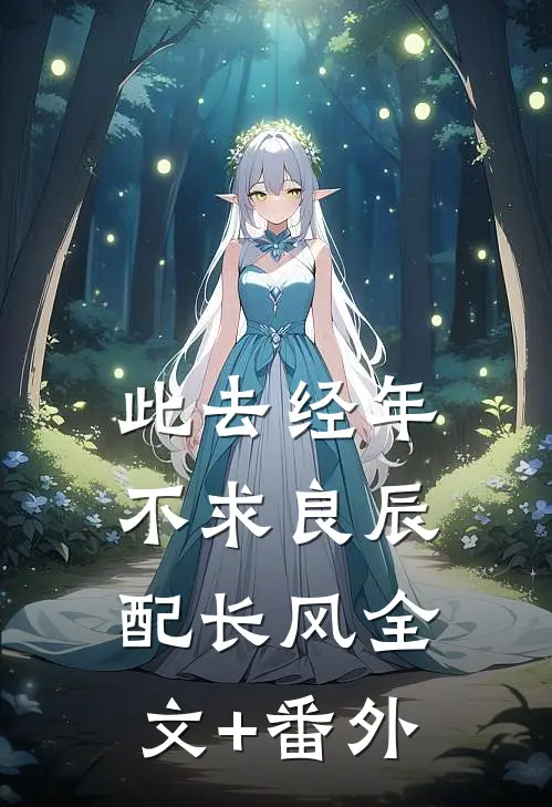 此去经年：不求良辰配长风全文+番外