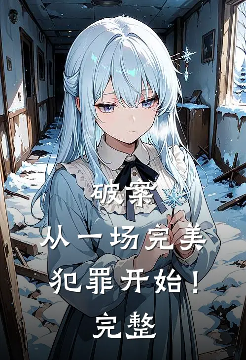 破案：从一场完美犯罪开始！完整