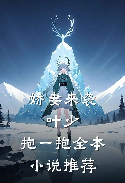 娇妻来袭：叶少，抱一抱全本小说推荐