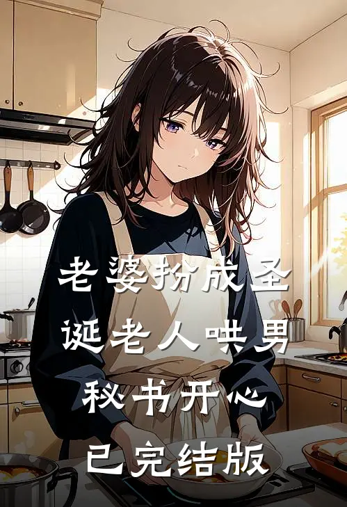 老婆扮成圣诞老人哄男秘书开心已完结版