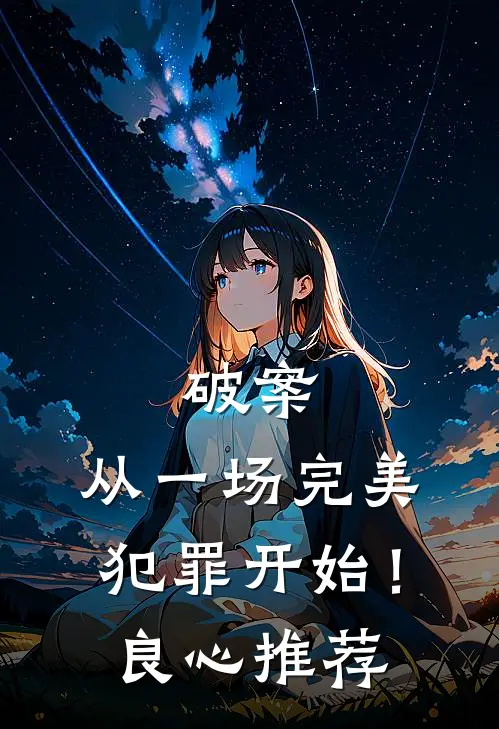 破案：从一场完美犯罪开始！良心推荐