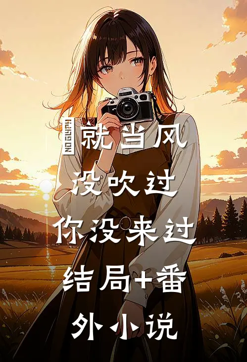 就当风没吹过，你没来过结局+番外小说