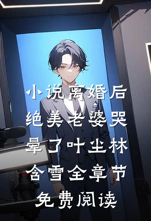 小说离婚后，绝美老婆哭晕了叶尘林含雪全章节免费阅读