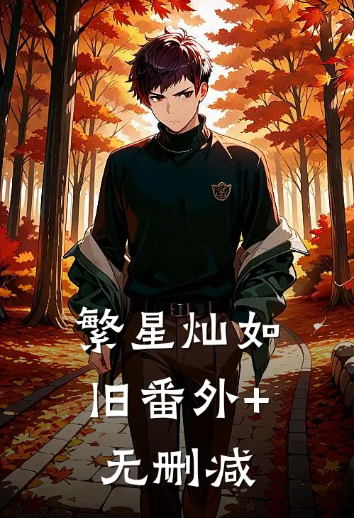 繁星灿如旧番外+无删减